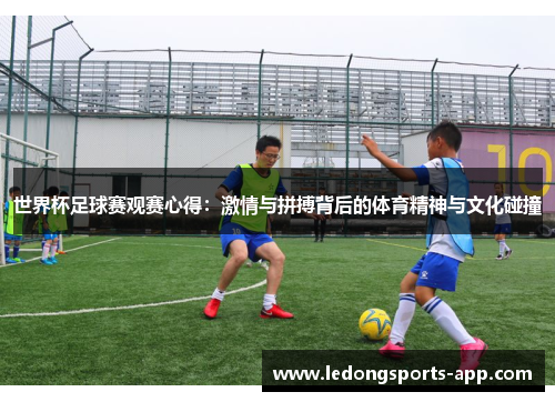 世界杯足球赛观赛心得：激情与拼搏背后的体育精神与文化碰撞
